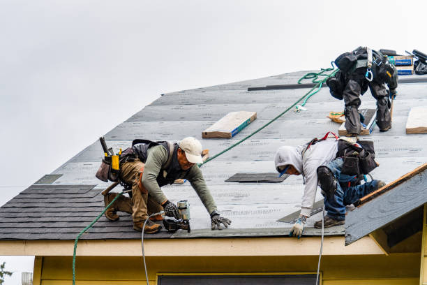Professional Storm Damage Roof Repair technician working in Sweetwater, FL
